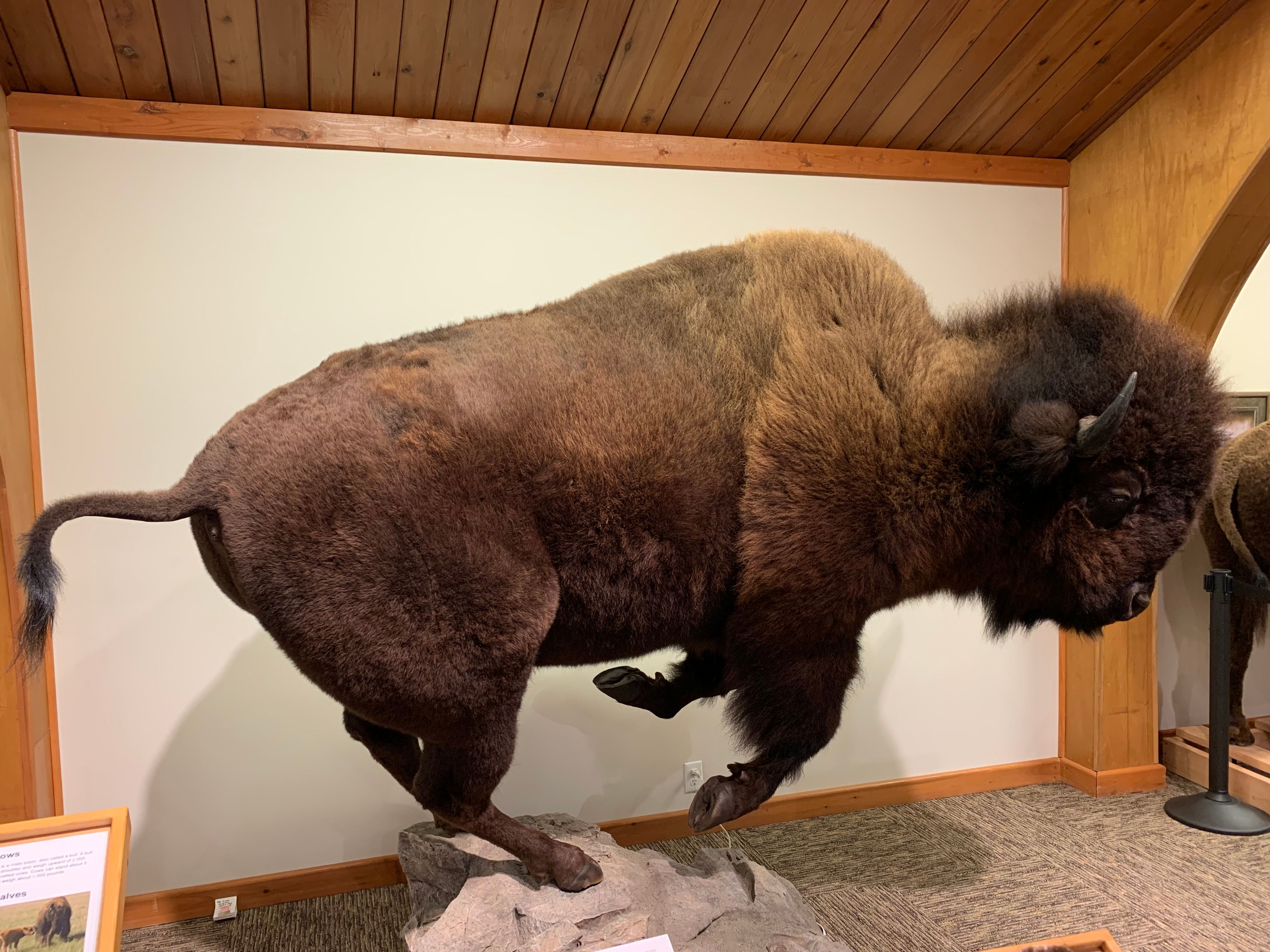North Dakota